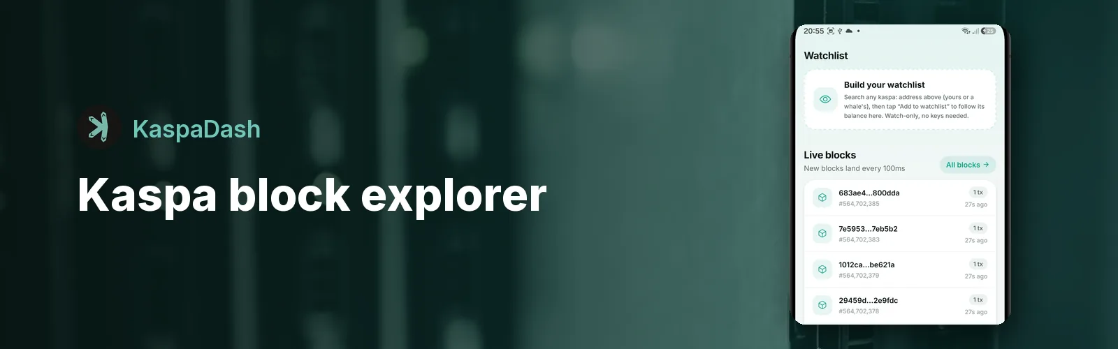 Kaspa Block Explorer: Watch the BlockDAG Live From Your Phone