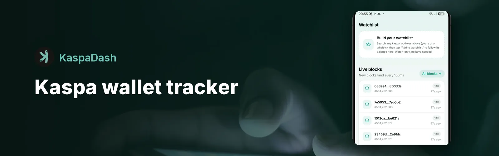 Kaspa Wallet Tracker: Follow Any KAS Address, Watch-Only