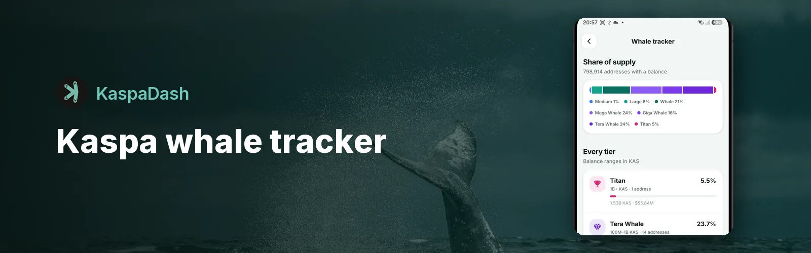 Kaspa Whale Tracker: How the KAS Supply Is Distributed
